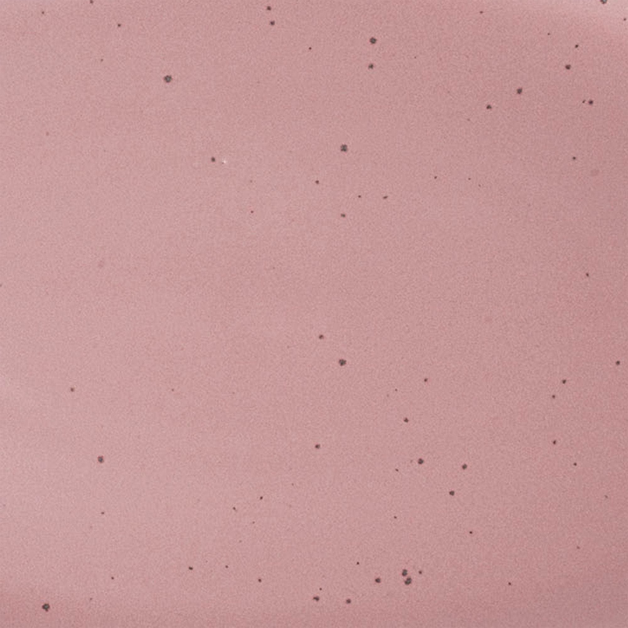 A closeup of a ceramic plate in a dusty mauve pink color with iron speckles throughout