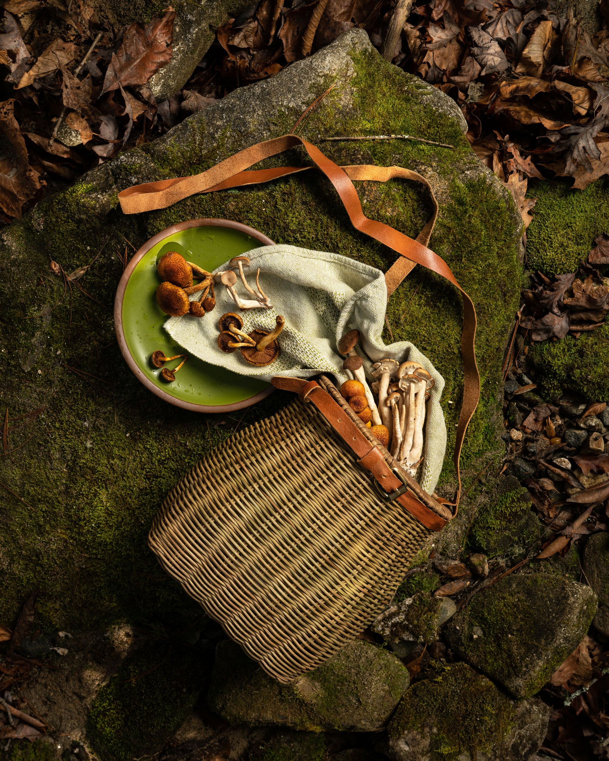 Mushrooms fall out of a wicker foraging basket with a leather strap that is photographed alongside a green East Fork stoneware plate on a mossy rock in the forest.