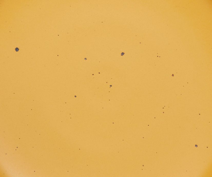 A closeup of a ceramic plate in a golden yellow color with iron speckles throughout