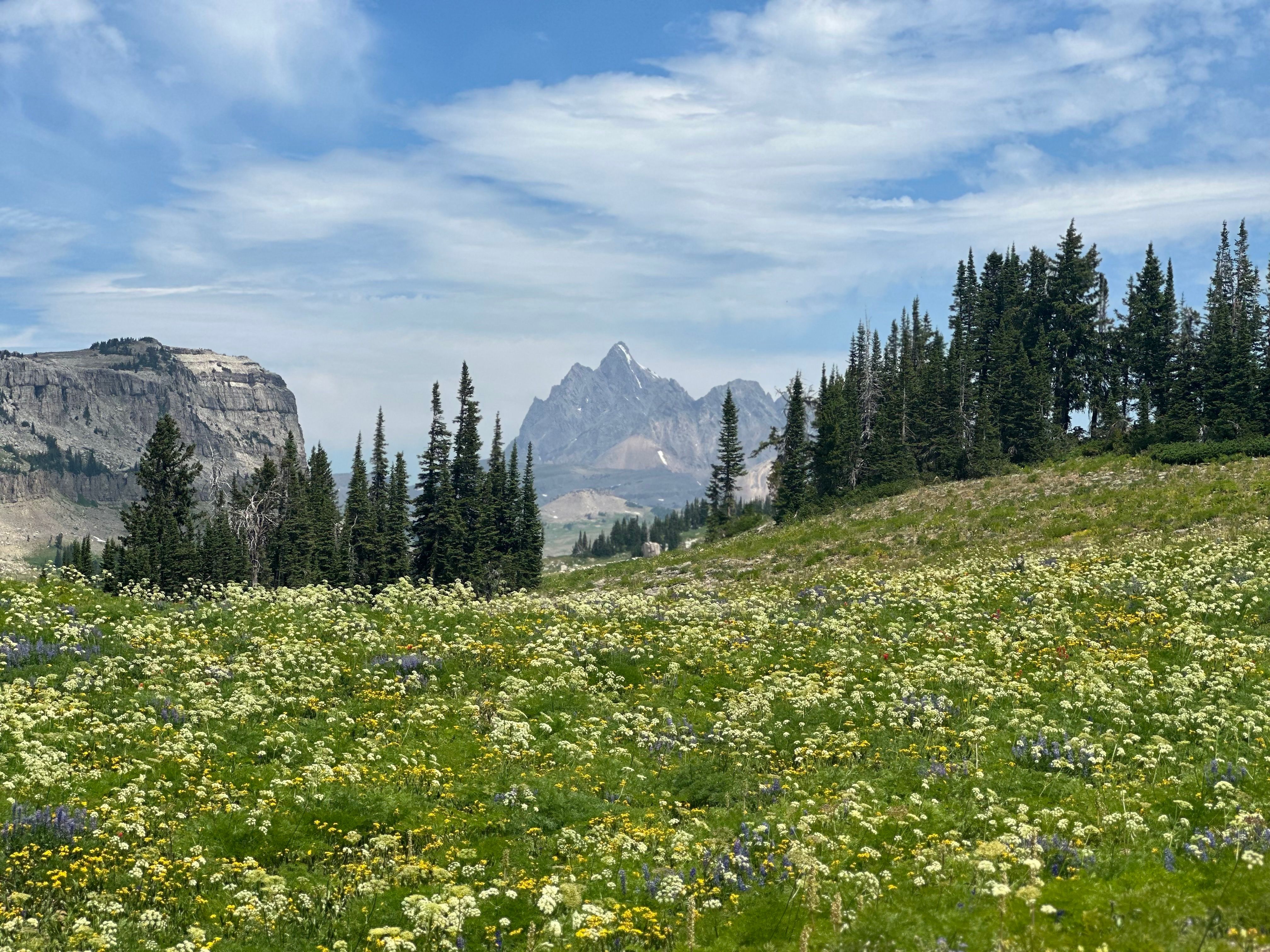 The Tetons from Fox Creek Pass (Credit: Kylie)