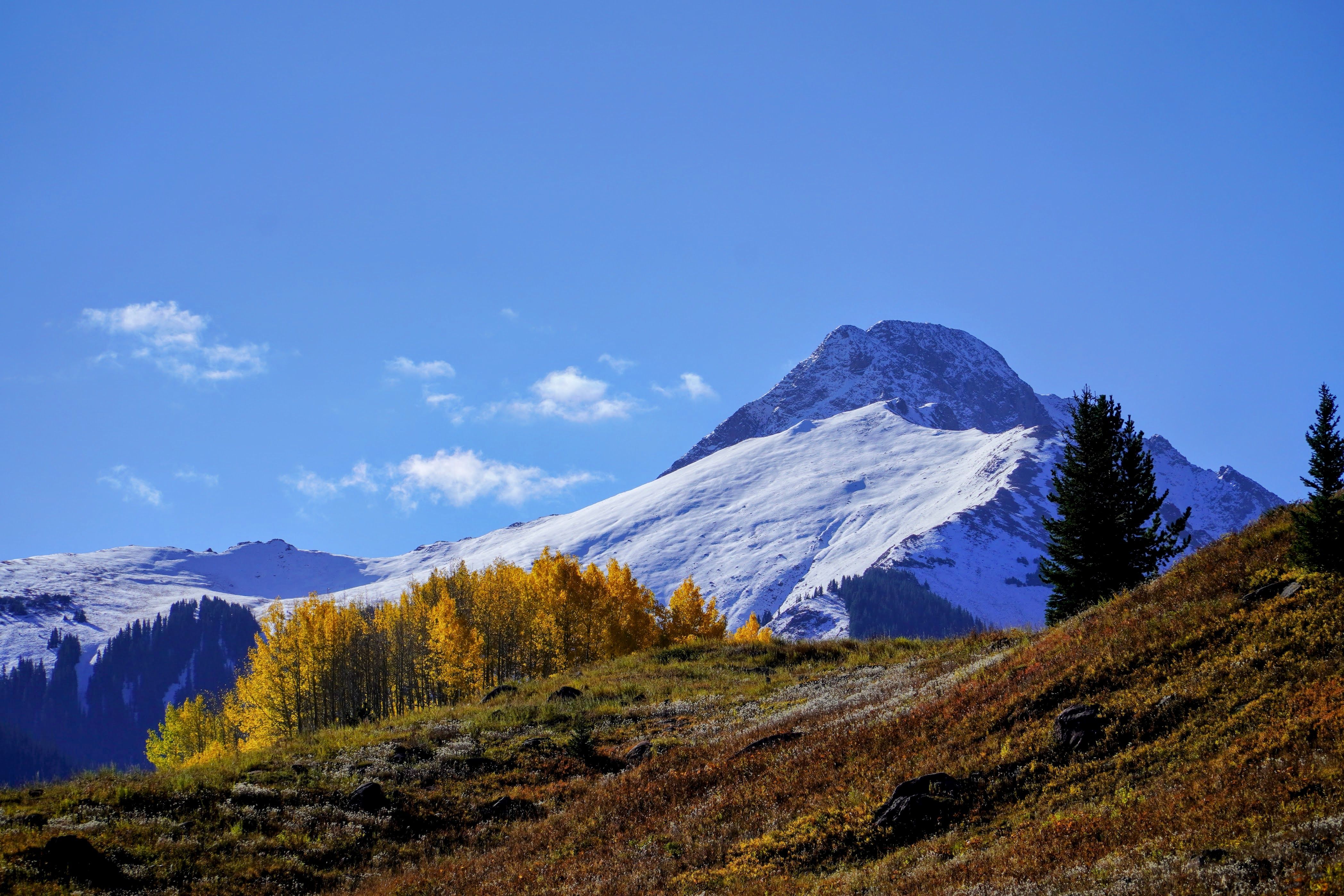 Chasing Peak Colors: A Guide to Fall Foliage