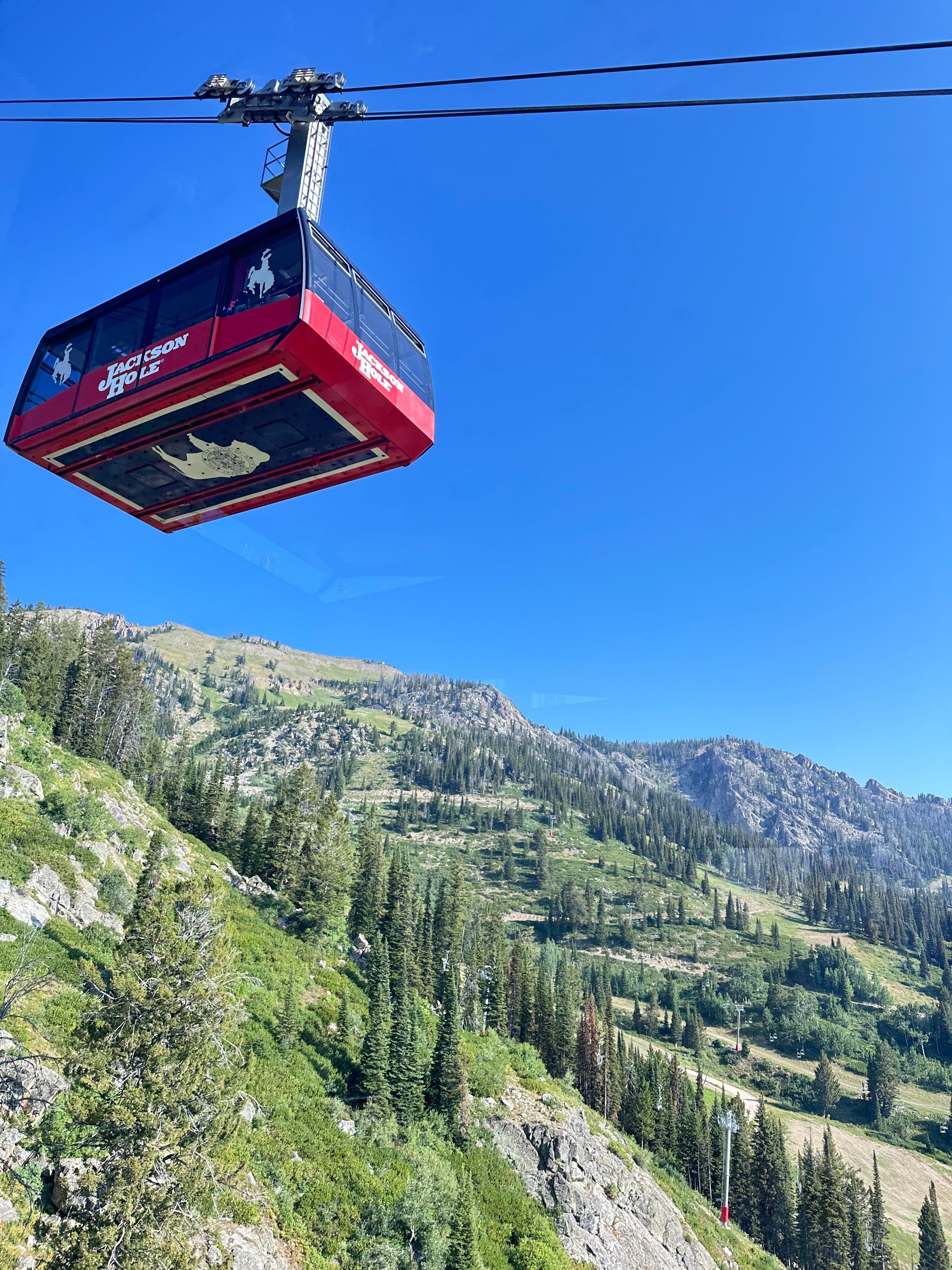 Jackson Hole Aerial Tram (Photo Credit Kylie)