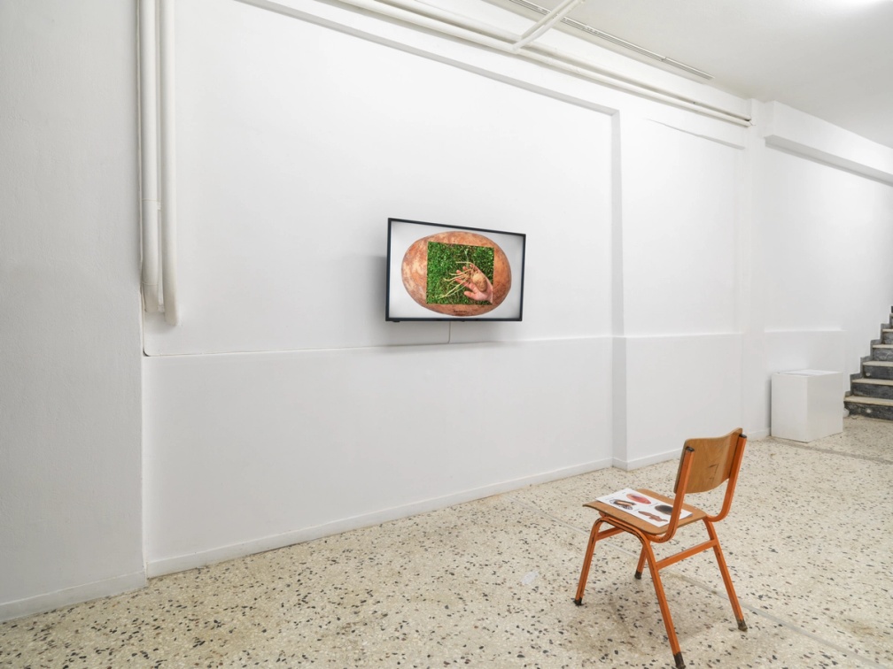 Slide 2/8: Andrea Palášti, Potato Empowering Trajectories, 2025, installation view. Photo by Stathis Mamalakis.