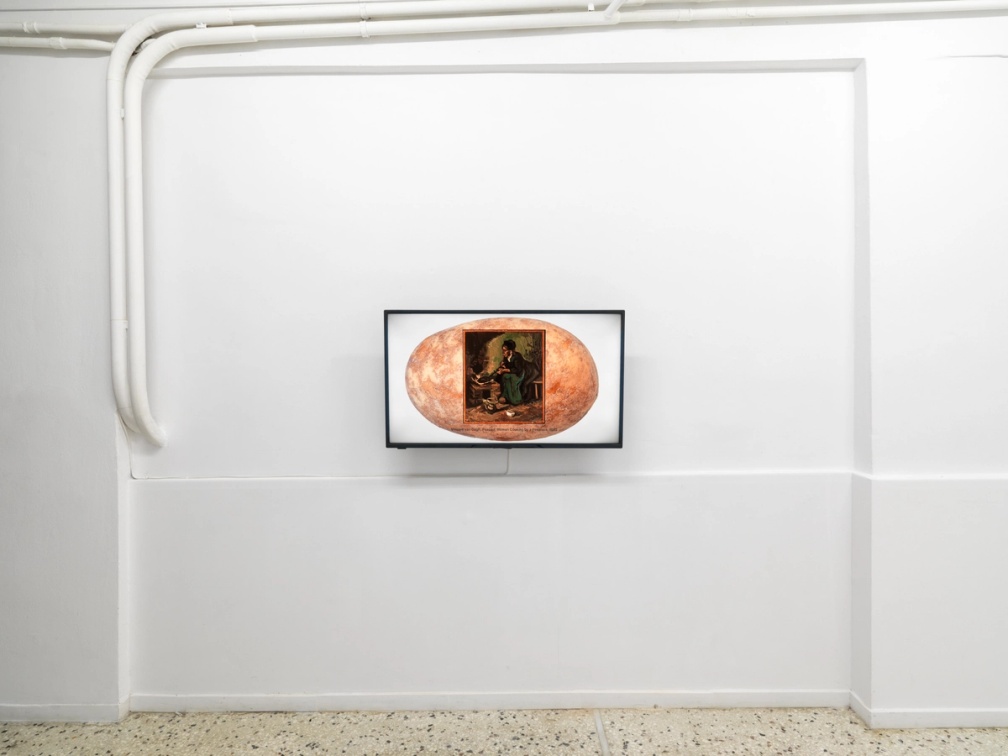 Slide 4/8: Andrea Palášti, Potato Empowering Trajectories, 2025, installation view. Photo by Stathis Mamalakis.