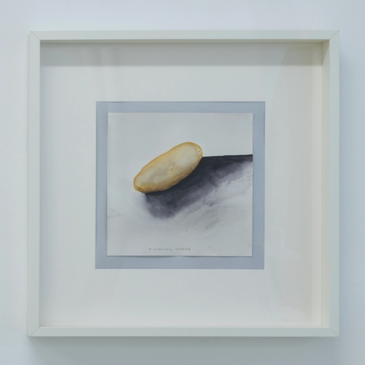 Slide 5/28: Ana Prvacki, Throwing Shade, 2025, watercolor, 25 x 25 cm. Photo by Nefeli Papaioannou. 