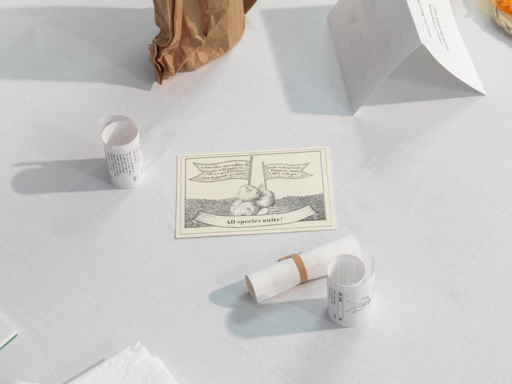 Slide 3/15: Sunčica Pasuljević Kandić, What Can a Potato Foretell Us About Ourselves? (detail), performatively activated mixed-media installation, dimensions variable. Photo by Stathis Mamalakis.