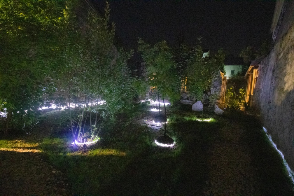 Slide 2/2: Milica Janković in collaboration with sound designer Stefano Sasso, Temporary Zone…, 2023, site-specific audio-environmental art installation, plants (olive trees, lavender a.o.), motion sensors, speakers, LED lights, installation view. 