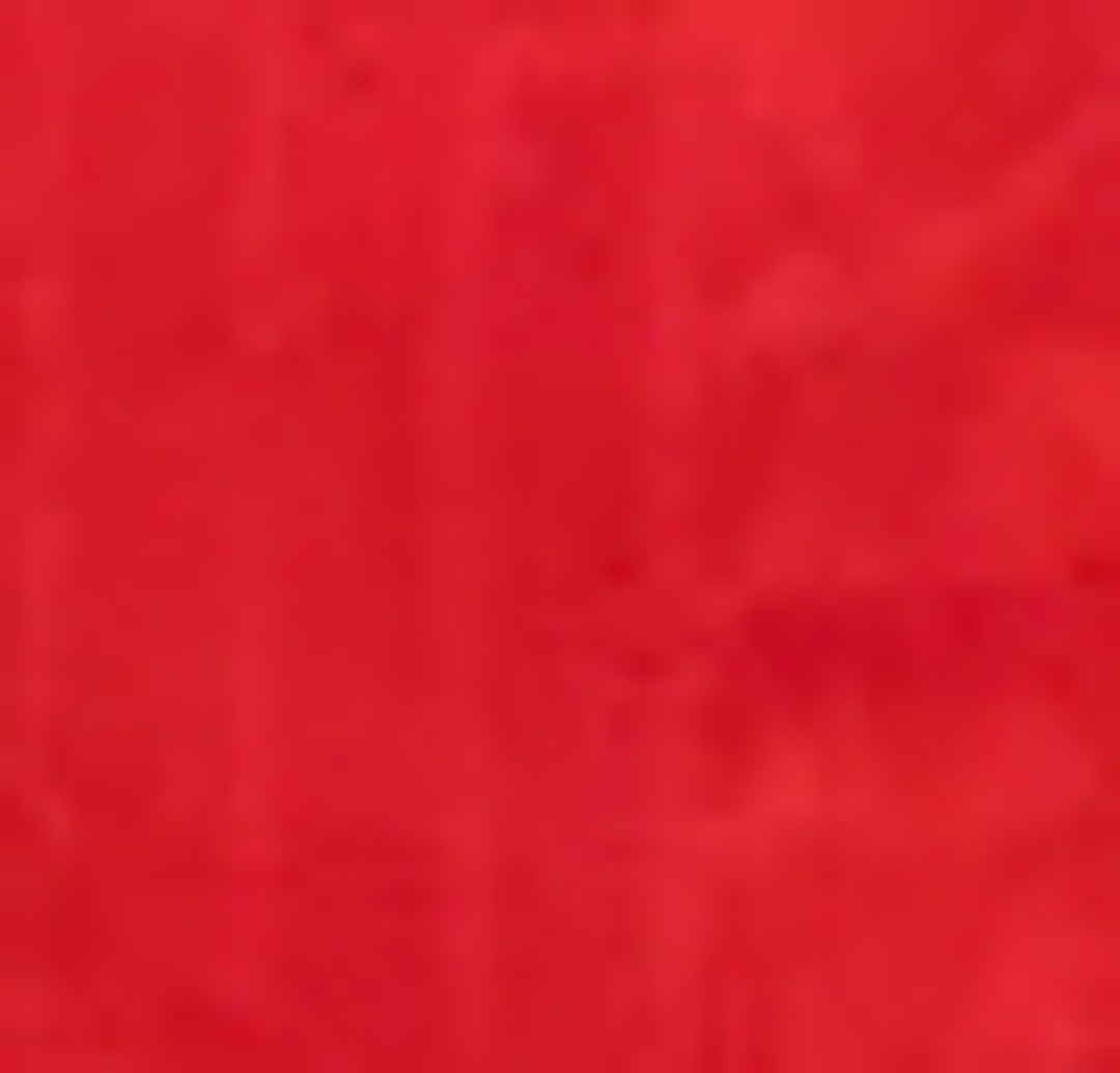 Kaute