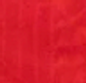 Kaute