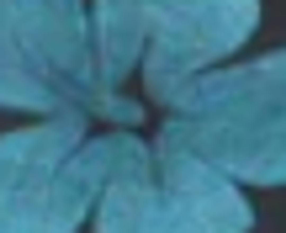 Turquoise Pearl