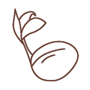 Coconut with stalk and leaf