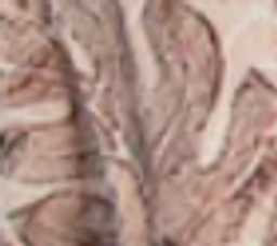 Dark Sandstone