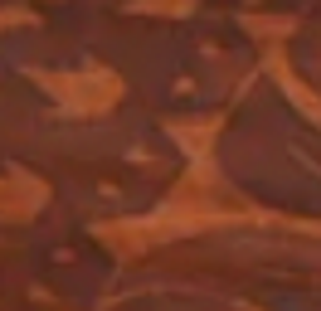 Bark