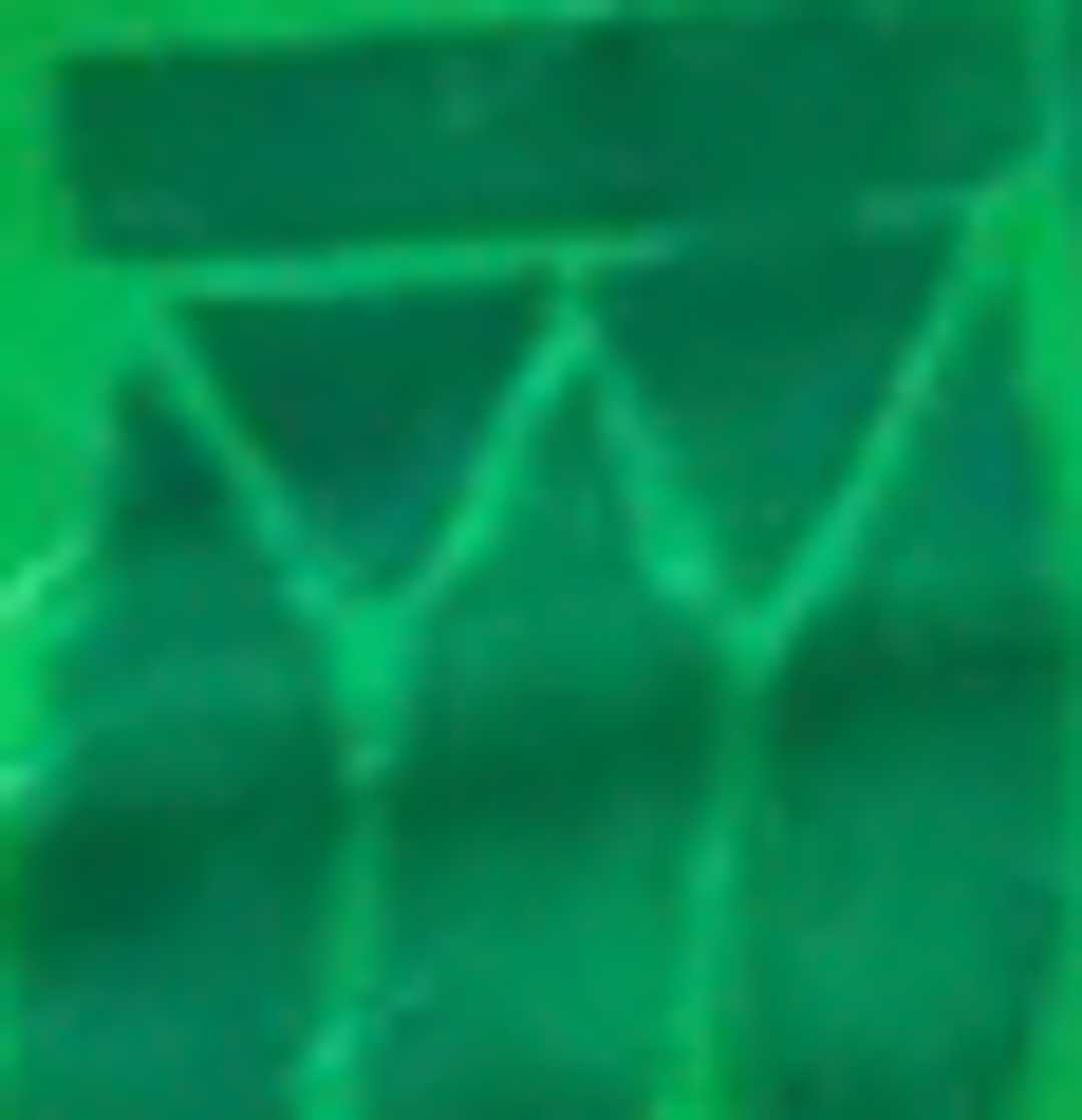 Rauti