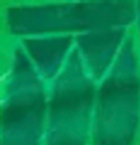 Rauti
