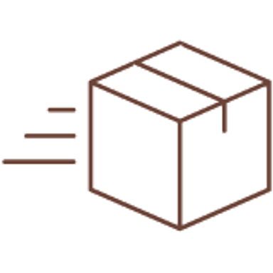 Express Shipping icon