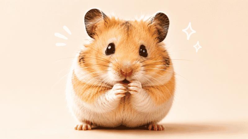 Hamster Eyesight Exposed: Why Your Pet Sees You as a Blurry Shape