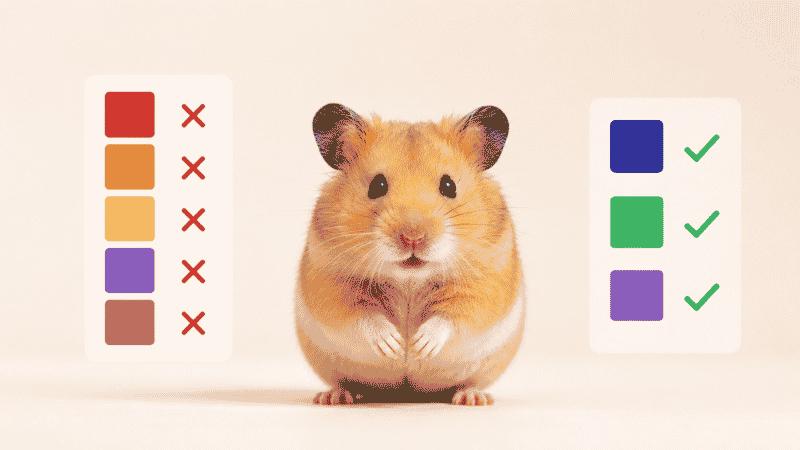 No One Tells You This: Are Hamsters Color Blind? The Shocking Truth