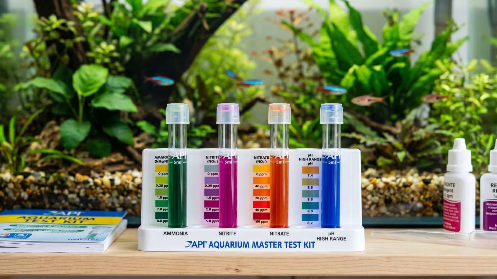 Testing Aquarium Water Quality
