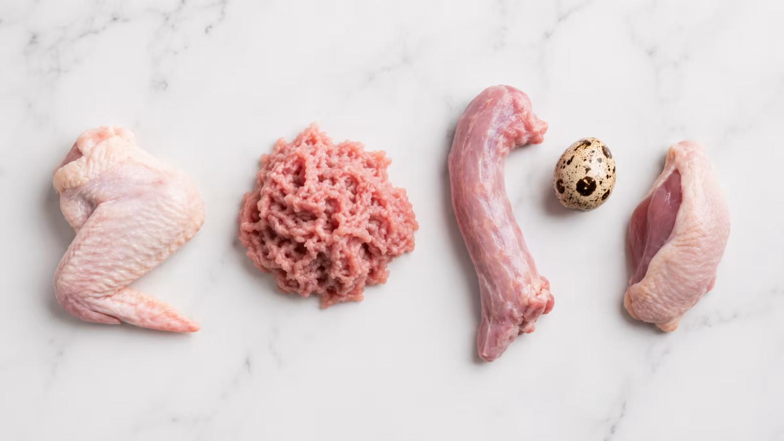 Ferret appropriate foods including raw meat and animal protein