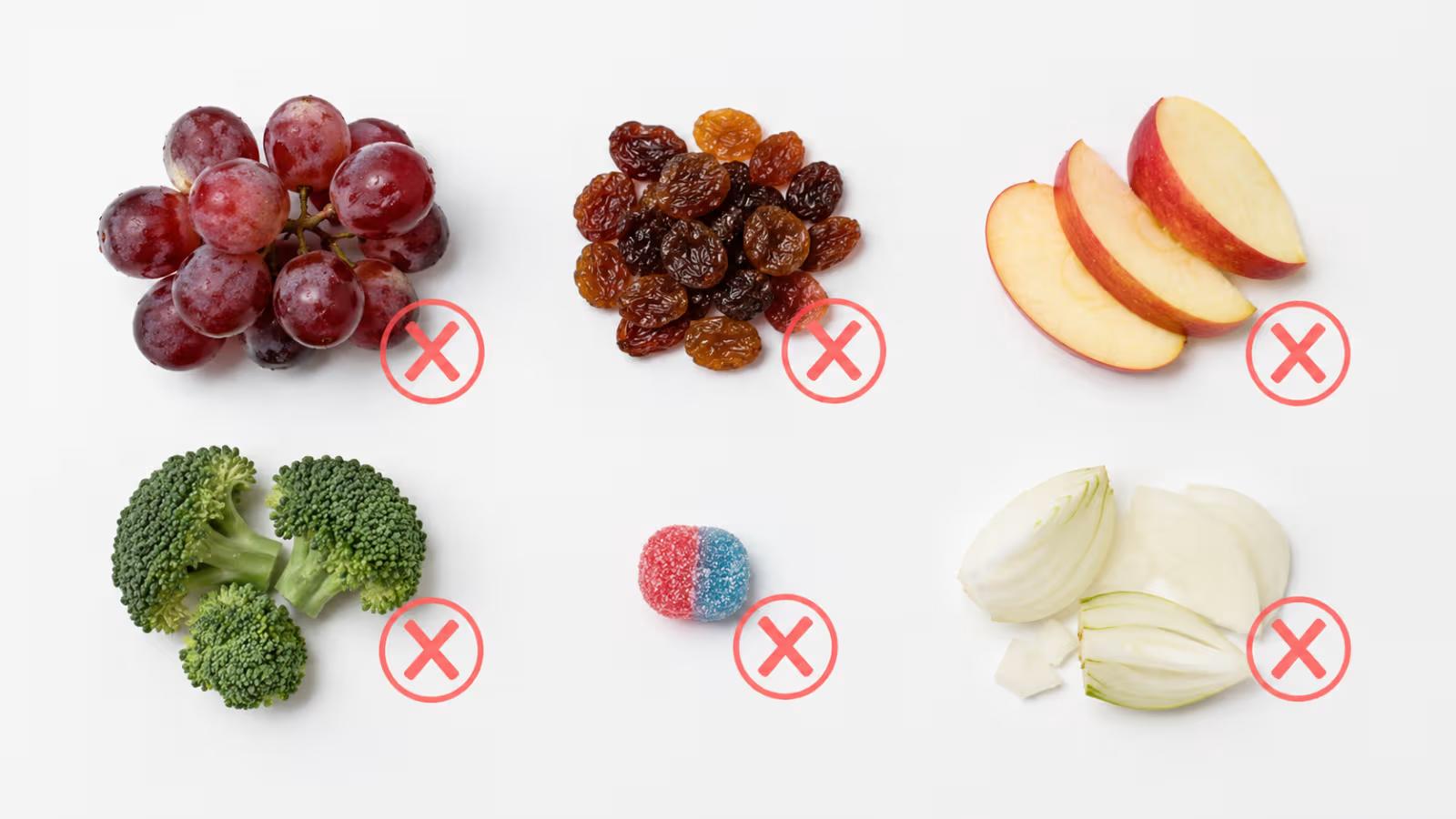 Foods that are unsafe for ferrets
