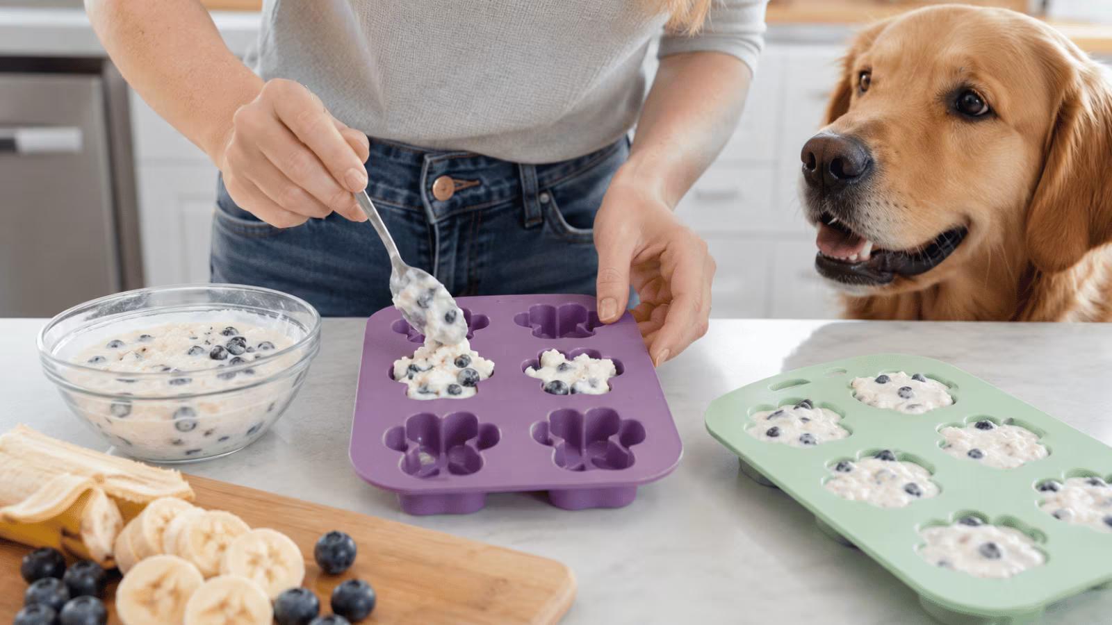 Ways to serve cottage cheese to dogs