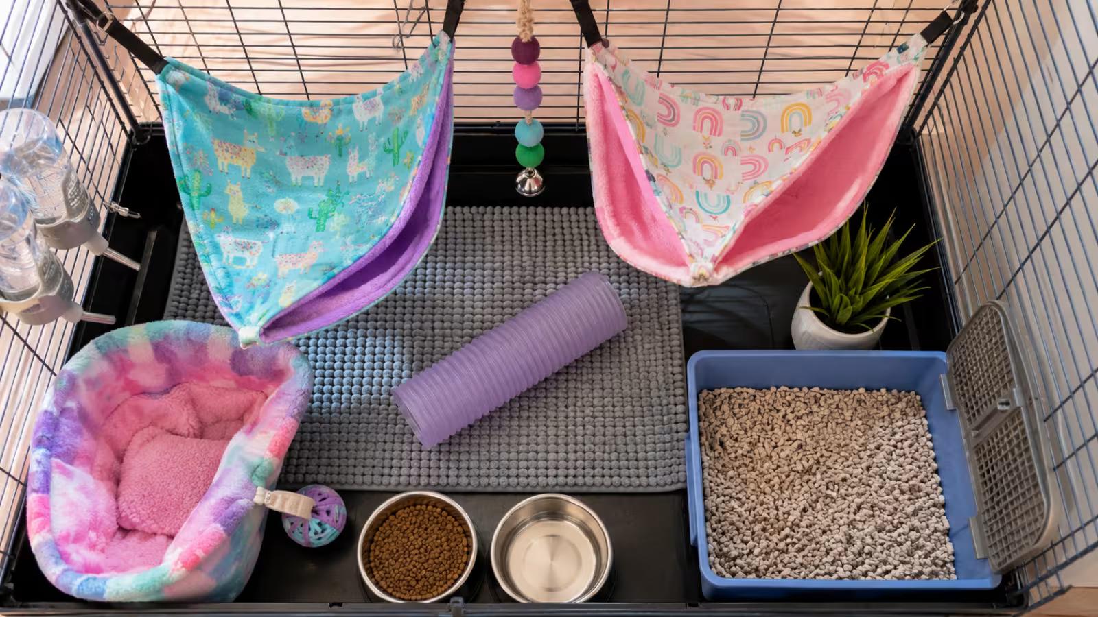 Clean ferret bedding and cage setup for odor control