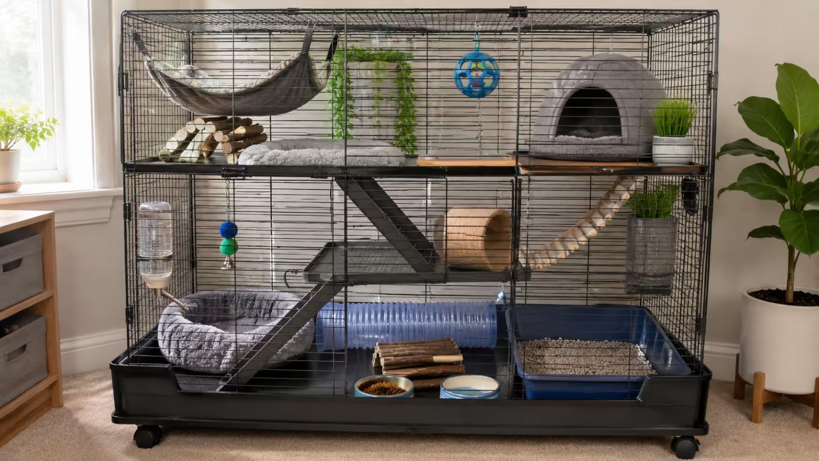 Clean enriched ferret enclosure with bedding, toys, and odor control setup