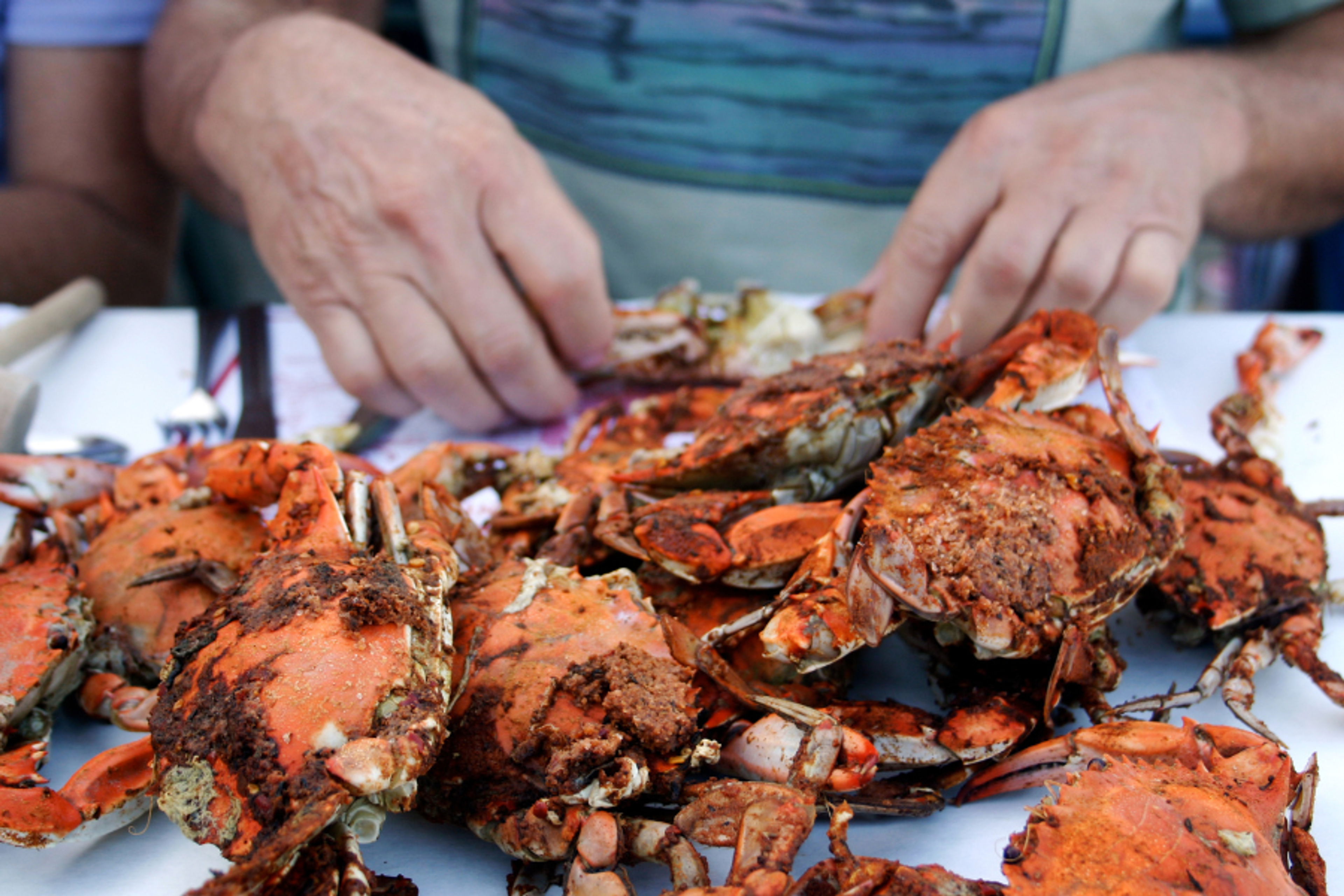 crabs