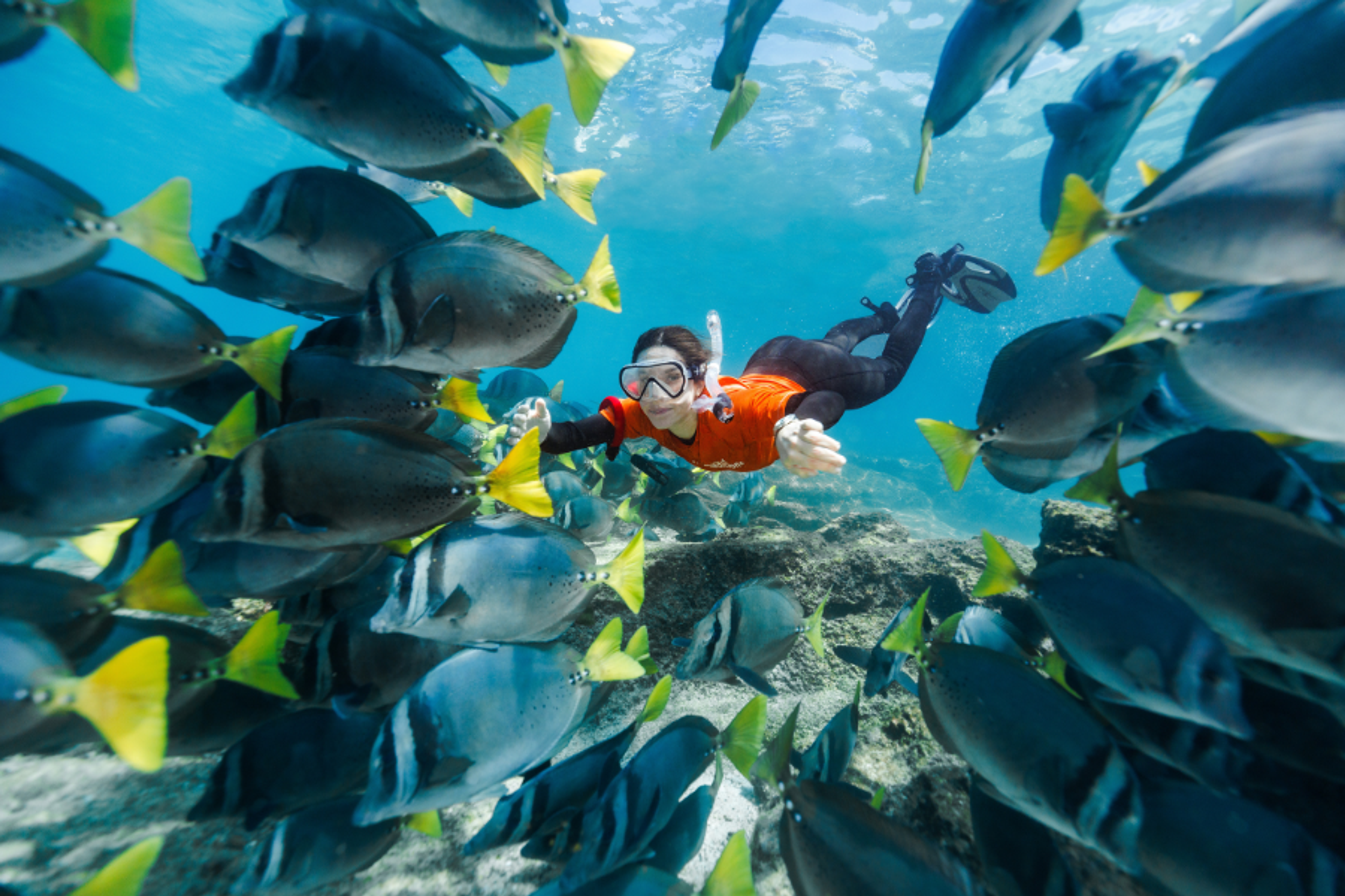 Exploring Galápagos
