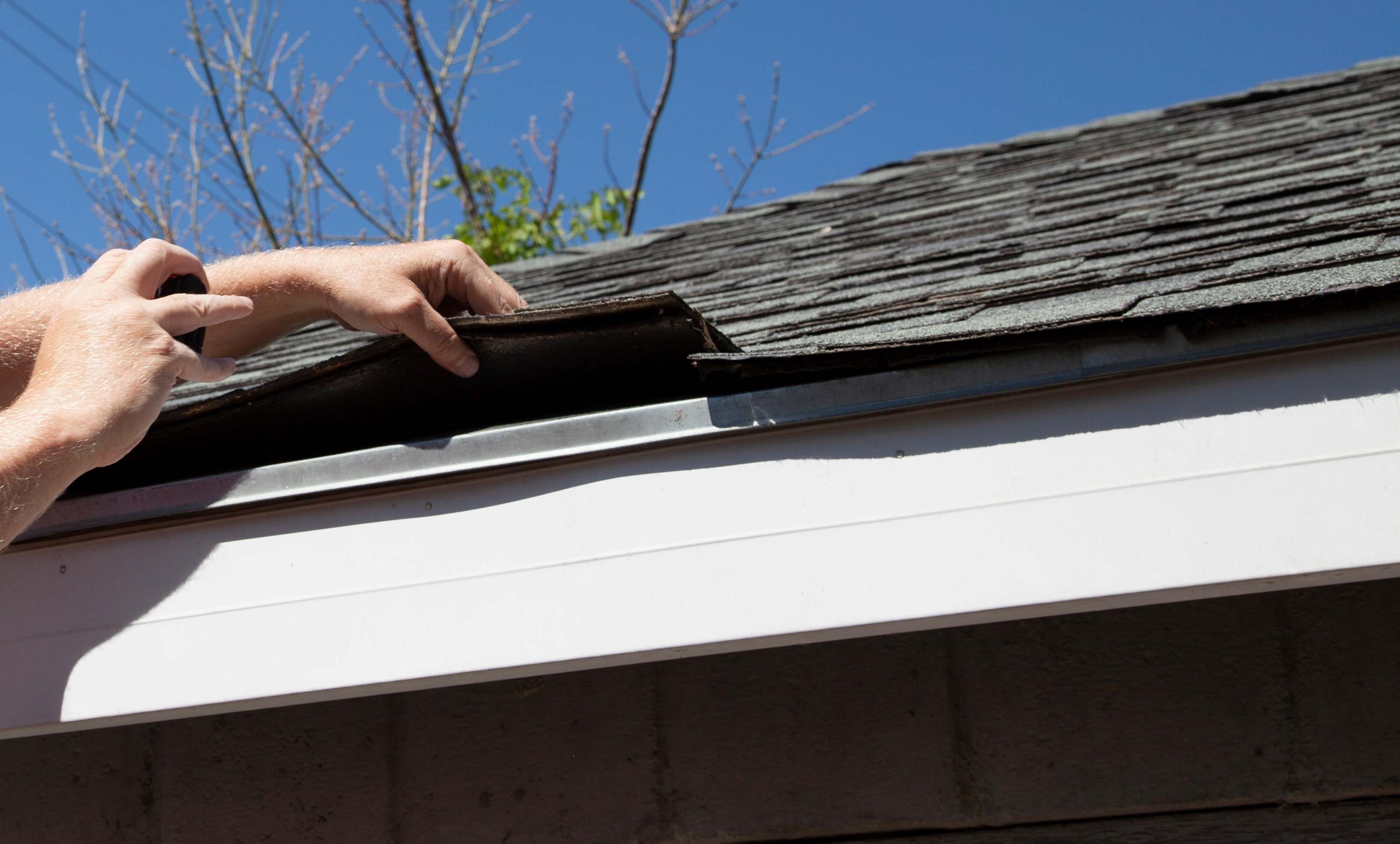 Roof Maintenance