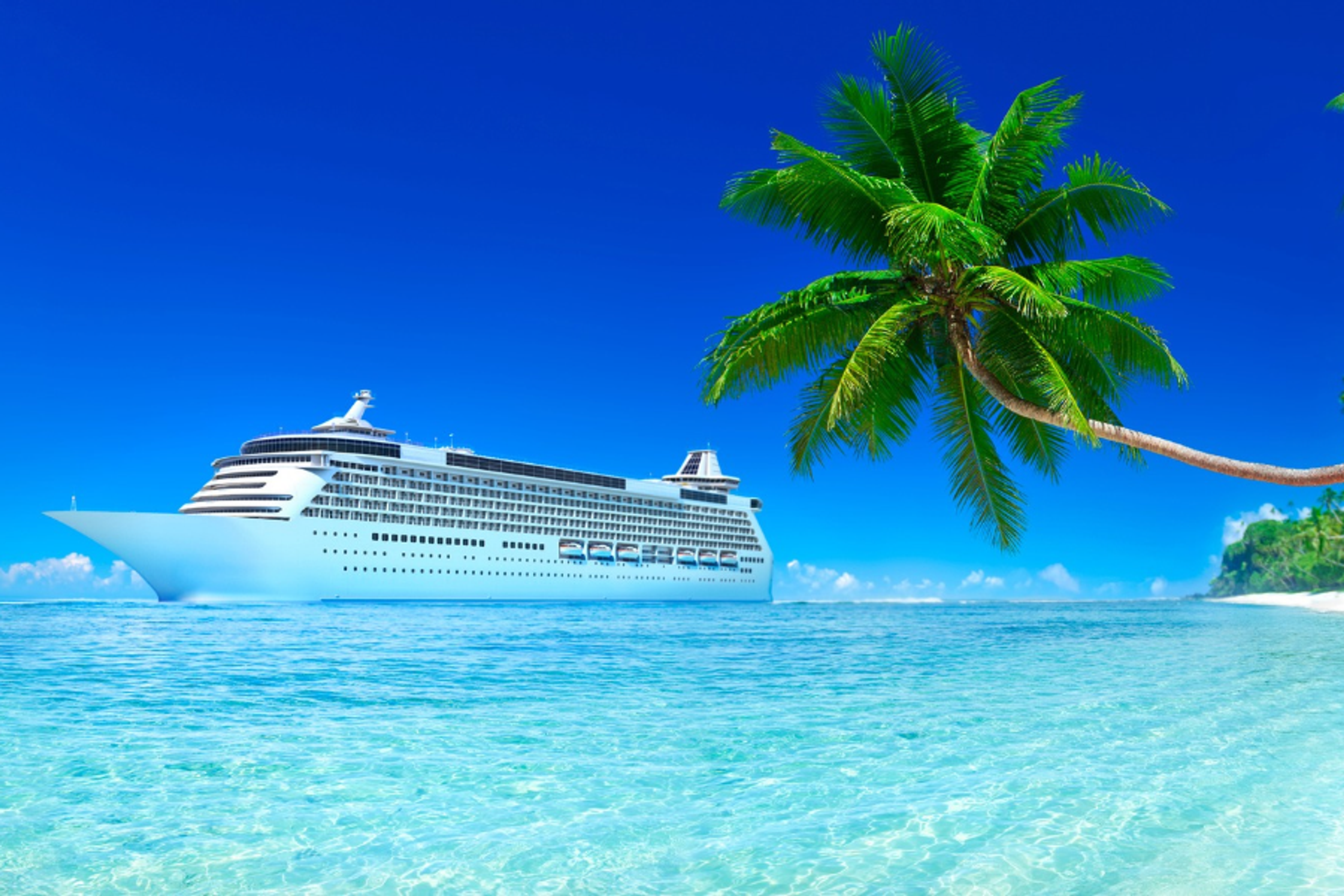 Cruise