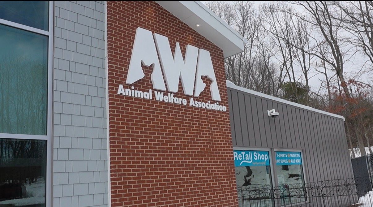 Animal Welfare Association AWA building front
