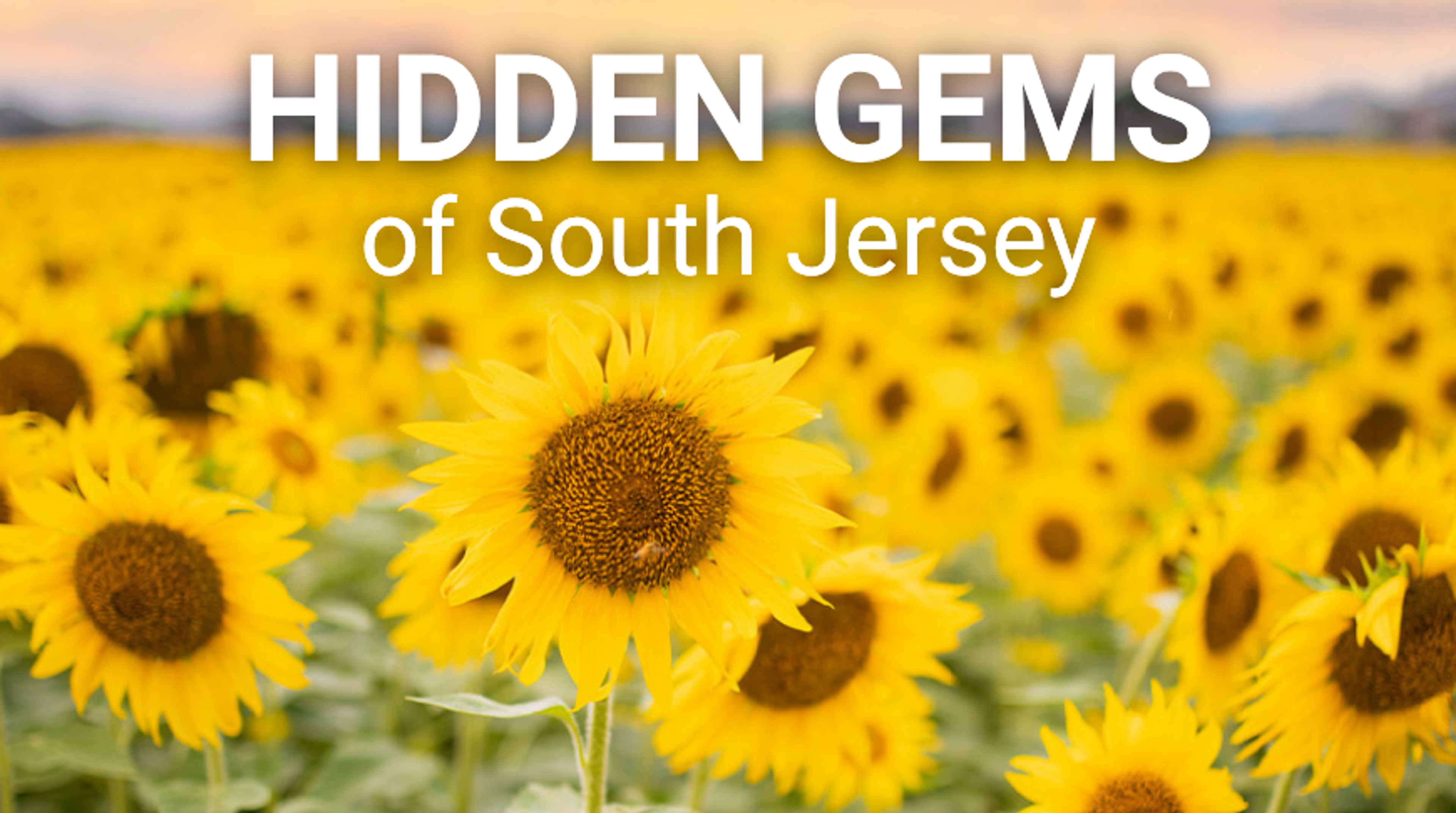 Hidden Gems of South Jersey
