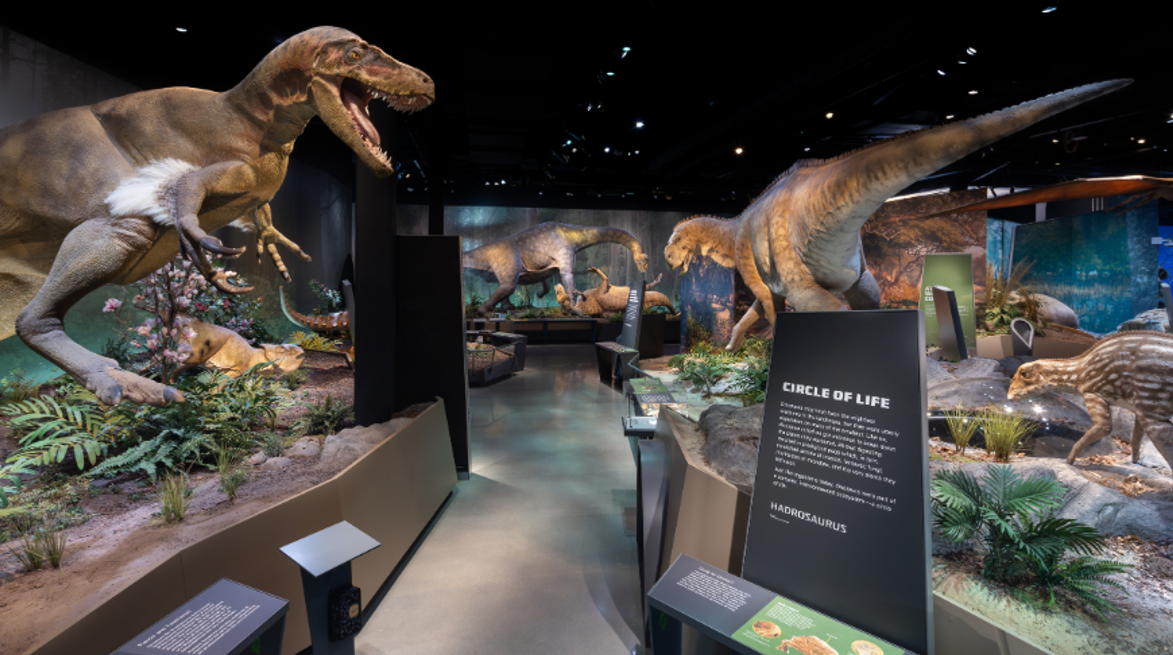 Edelman Fossil Park & Museum of Rowan University​​​​