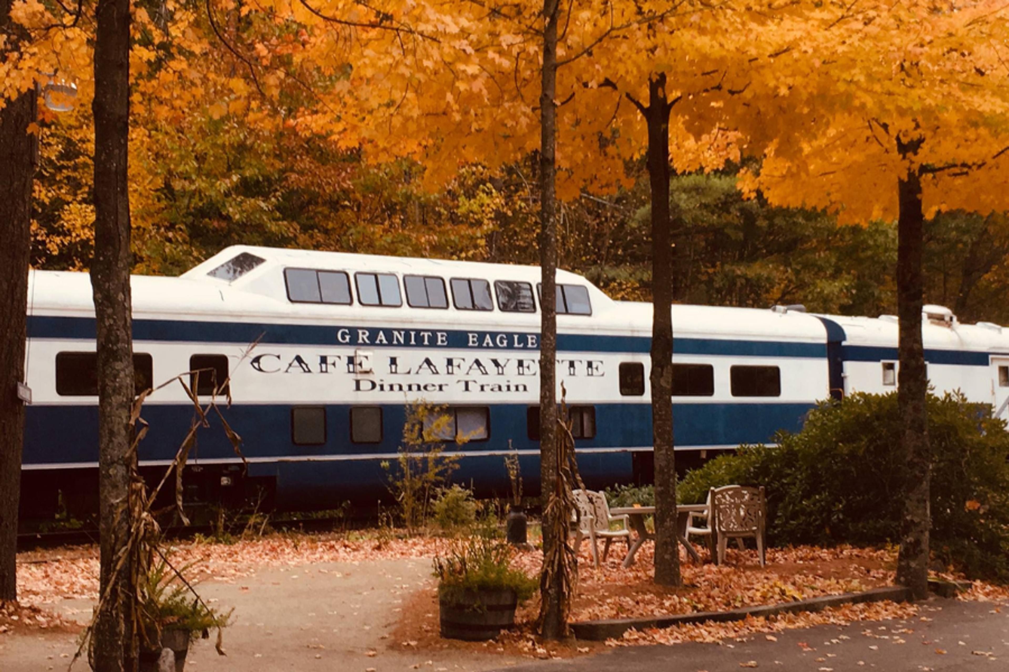 train