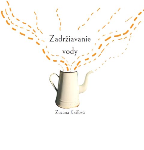 Obálka knihy: Zadržiavanie vody