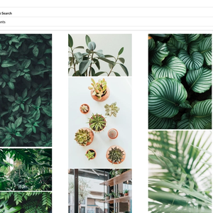 Image search screen. It has a white background with a search bar and image grid displaying various green plants.