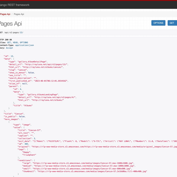 Example API output screen from Django REST framework. It has a header, title and API output with red text.
