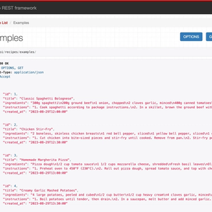 Example API output screen from Django REST framework. It has a header, title and API output with red text.