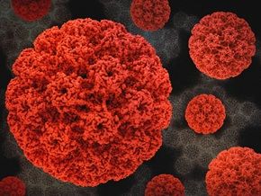 Zdjęcie poglądowe usługi: Szczepienia na HPV