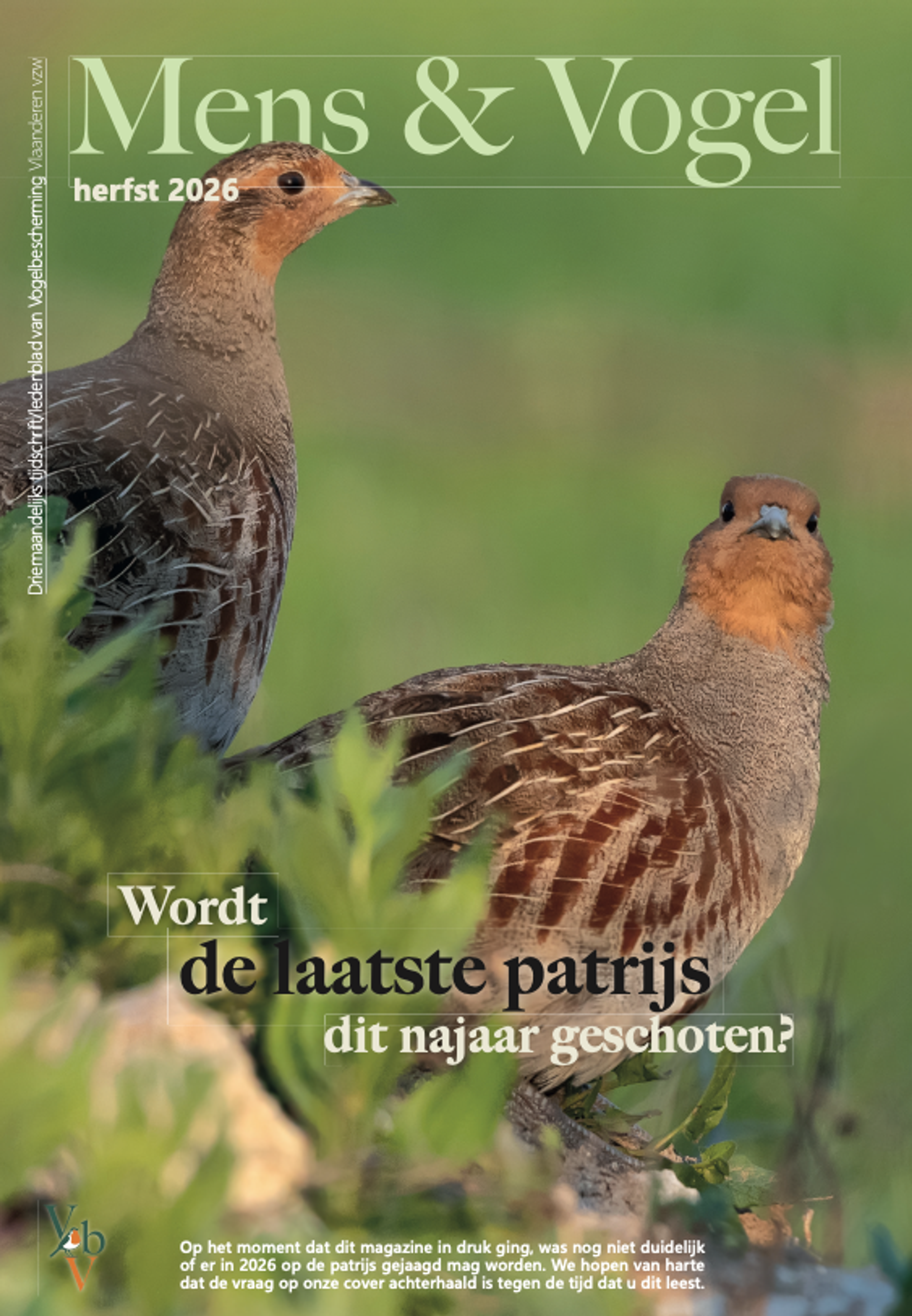Mens en Vogel
