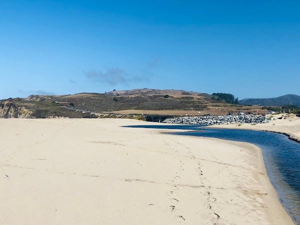 Card image for Scott Creek County Beach