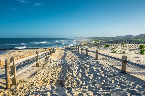 Card image for Beach Haven