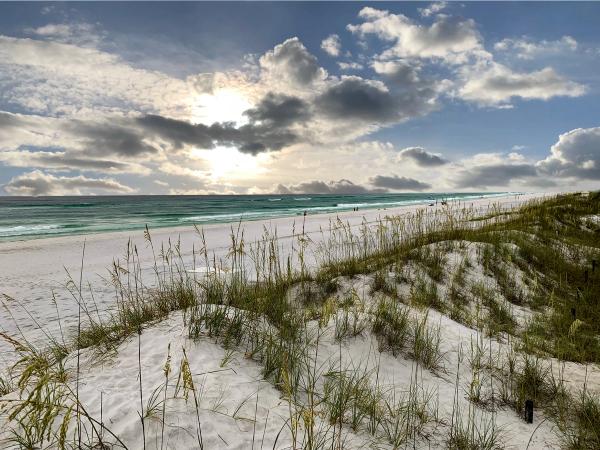 Card image for Mantoloking Beach
