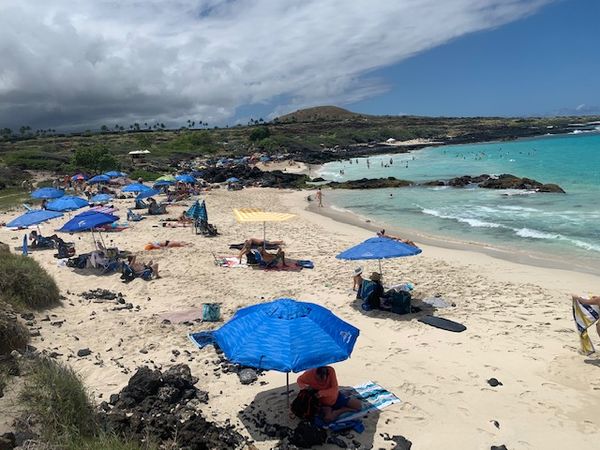 Card image for Manini'owali Beach (Kua Bay)