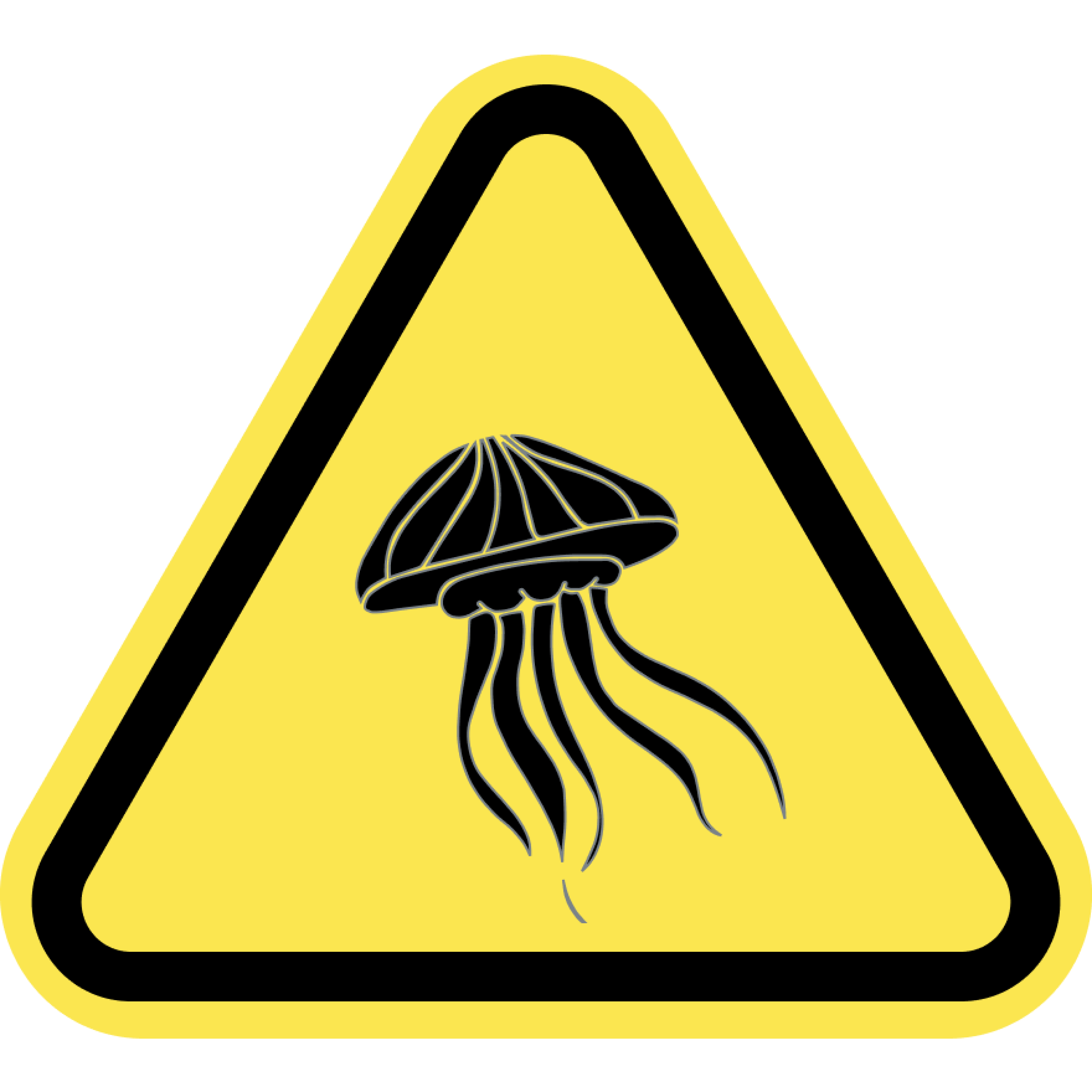 Jellyfish