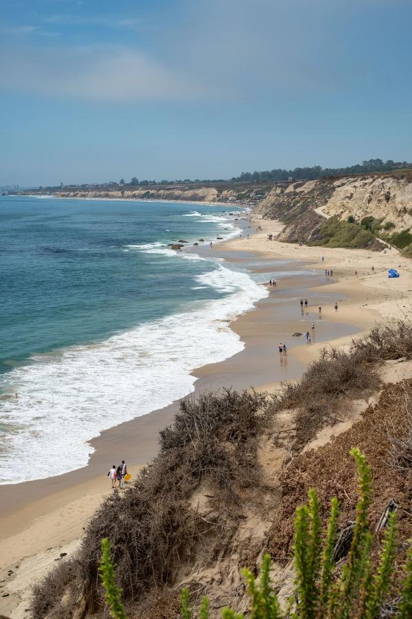 Card image for Crystal Cove State Park