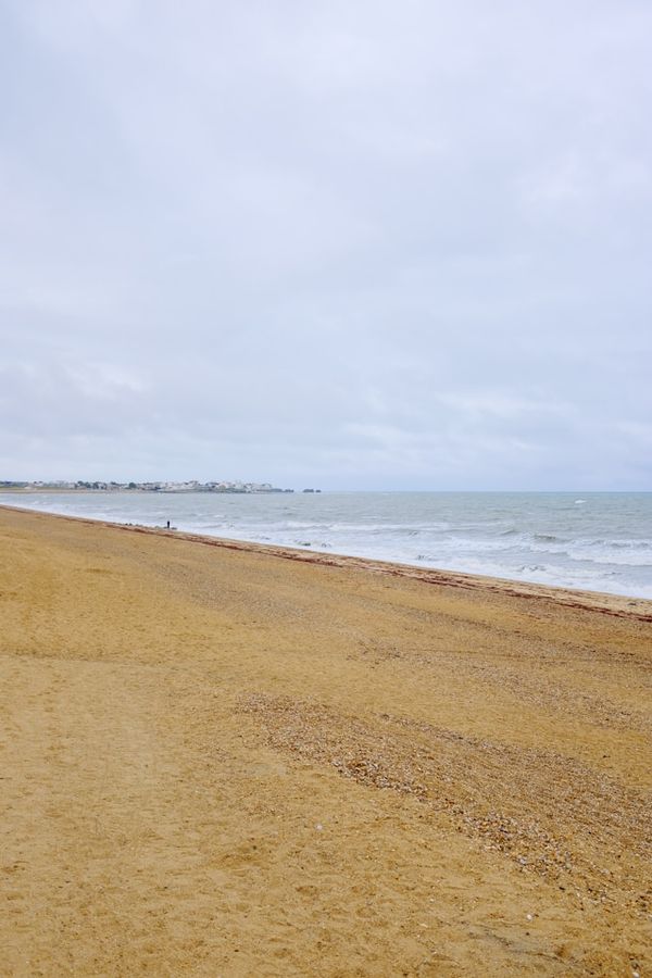 Card image for New Brighton State Beach