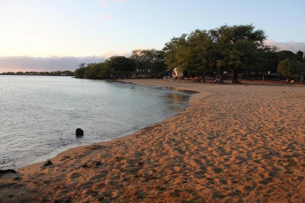 Card image for Spencer Beach Park